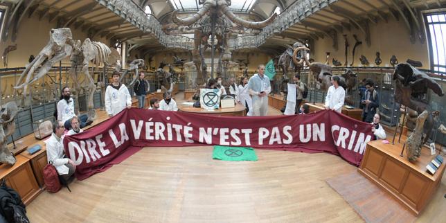 Six mois de prison ferme pour un jet de peinture, une peine révélatrice du durcissement de la répression contre les militants écologistes