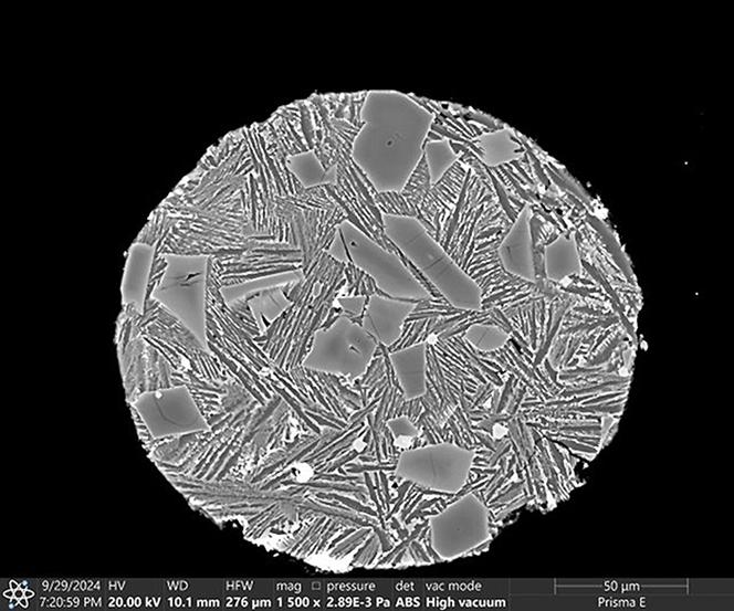 L’un des rares fragments de météorite découverts sur la face cachée de la Lune, analysé avec un microscope électronique.