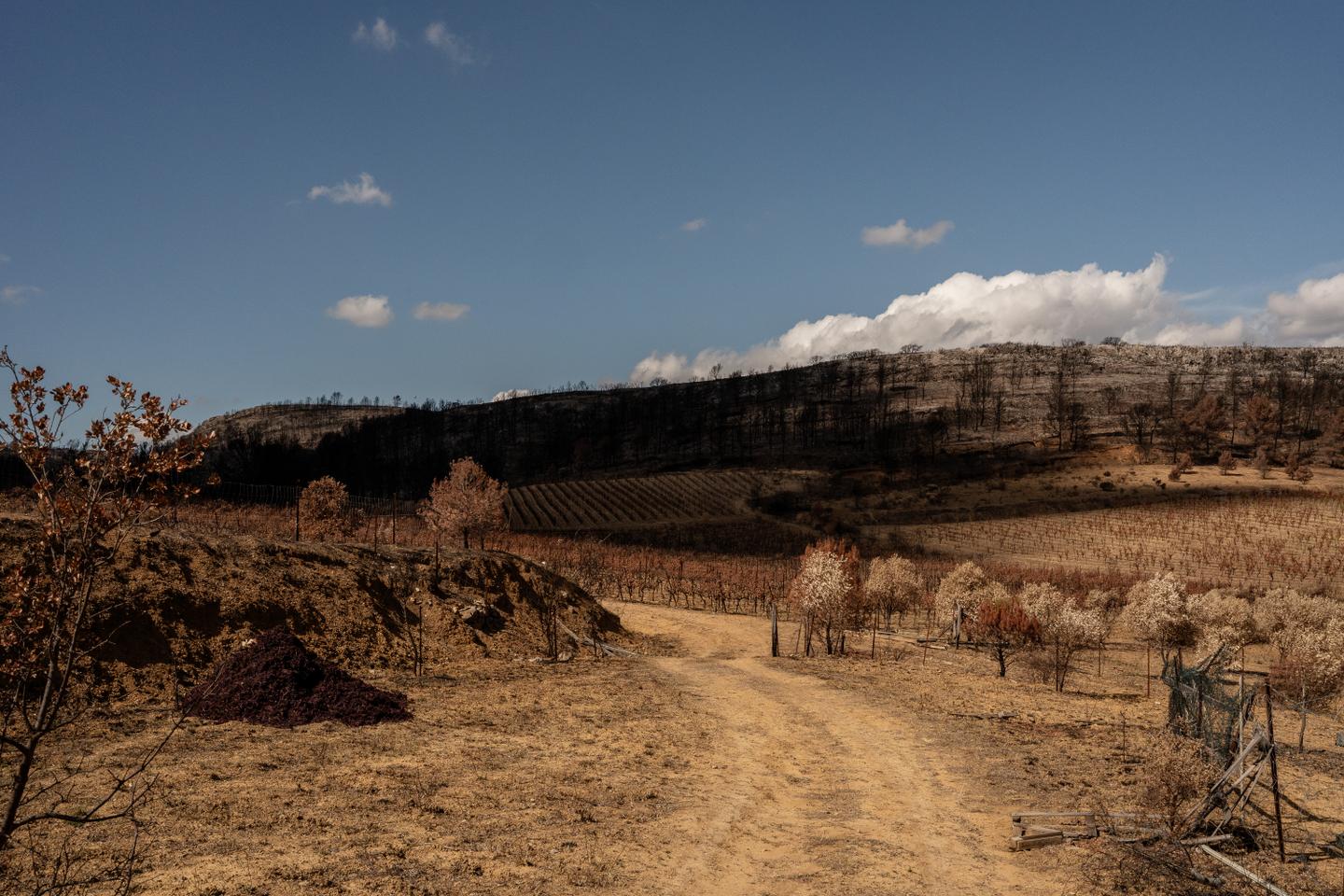 En France, une transition climatique laissée pour compte
