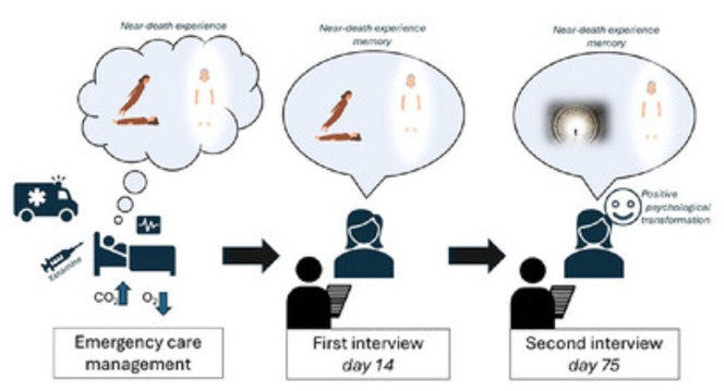La patiente a décrit une EMI après administration de  kétamine dans un contexte d’urgence. Elle a participé à deux entretiens : à l’hôpital, le jour de sa sortie (J14), puis chez elle, deux mois après.