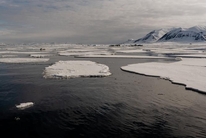 Des plaques de banquise, au nord-ouest du fjord d’Isfjorden, archipel du Svalbard, en Norvège, le 30 mai 2025.