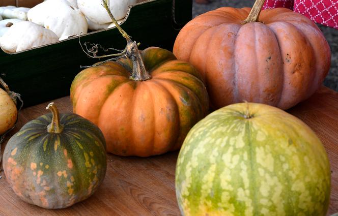 Plusieurs variétés de courges sur un marché local à Samatan (Gers), le 9 novembre 2020.