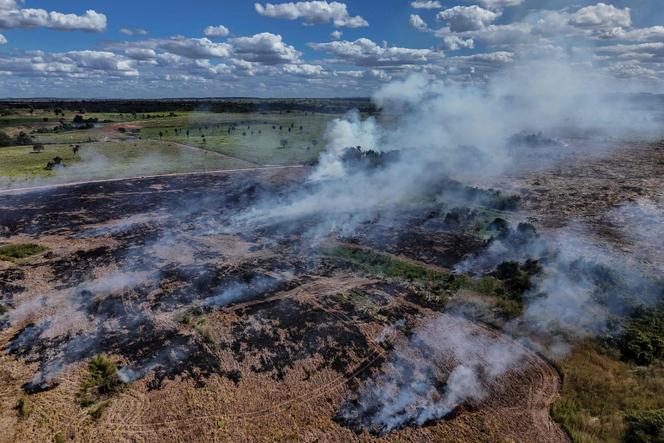 Vue aérienne d’un incendie de forêt à Sao Felix do Xingu, dans l’Etat du Pará, au Brésil, prise le 16 juin 2025.  