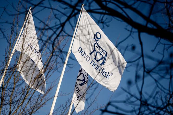 Des drapeaux arborant les logos du laboratoire pharmaceutique danois Novo Nordisk, à Bagsvaerd, au Danemark, le 5 février 2025.