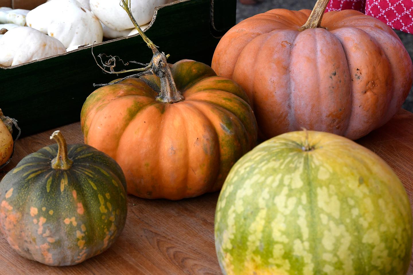 Citrouilles d’Halloween : gare aux intoxications alimentaires