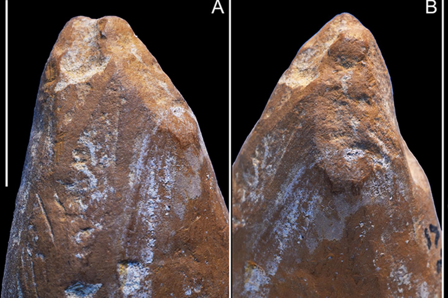 Des néandertaliens utilisaient de l’ocre en Crimée il y a plus de 50 000 ans