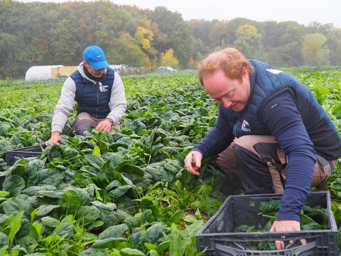 Nicolas Revol et François Bodin, à la Ferme de Gisy, à Bièvres (Essonne), le 21 octobre 2025.