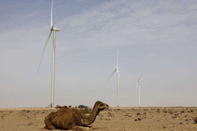 A Dakhla, dans le Sahara occidental contesté, principalement contrôlé par le Maroc, le 26 mai 2025.