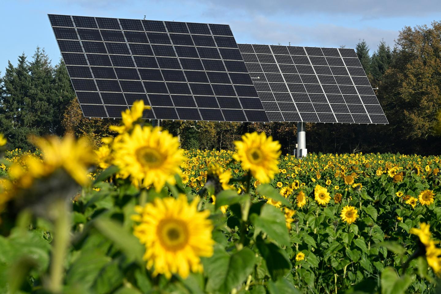 Electricité : les heures creuses se déplacent pour suivre la production d’énergie solaire