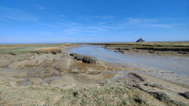 Image extraite du live documentaire « Les Grandes Marées du Mont-Saint-Michel », d’Olivier Marin et Nicolas Sallé.