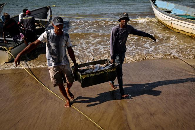Des pêcheurs locaux déchargent la pêche du jour sur la plage de Cedros, à Trinité-et-Tobago, le 28 octobre 2025.