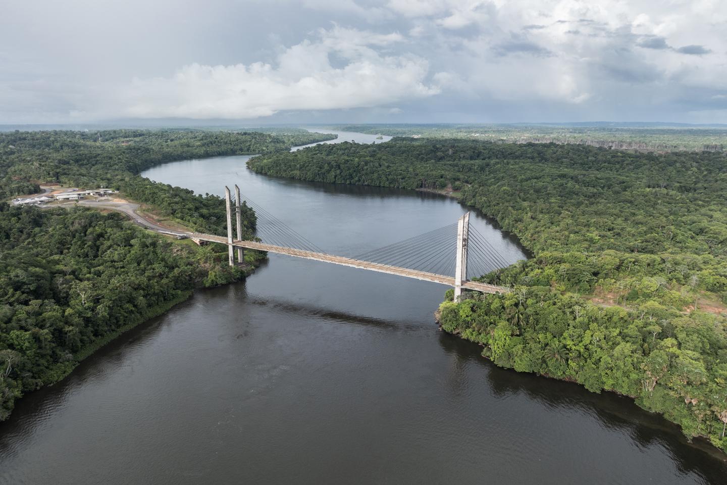 How healthy is the Amazon, the world's largest tropical rainforest?