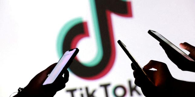 French authors sue TikTok over alleged copyright violations