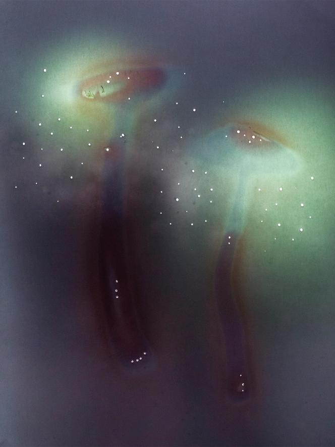 Des champignons «&nbsp;Psilocybe cubensis&nbsp;», en&nbsp;2022. Photographie extraite de la série en cours «&nbsp;Myr&nbsp;», de Chiara Francesca Rizzuti sur les effets de la psilocybine dans les troubles de l’anxiété et de la dépression.&nbsp;