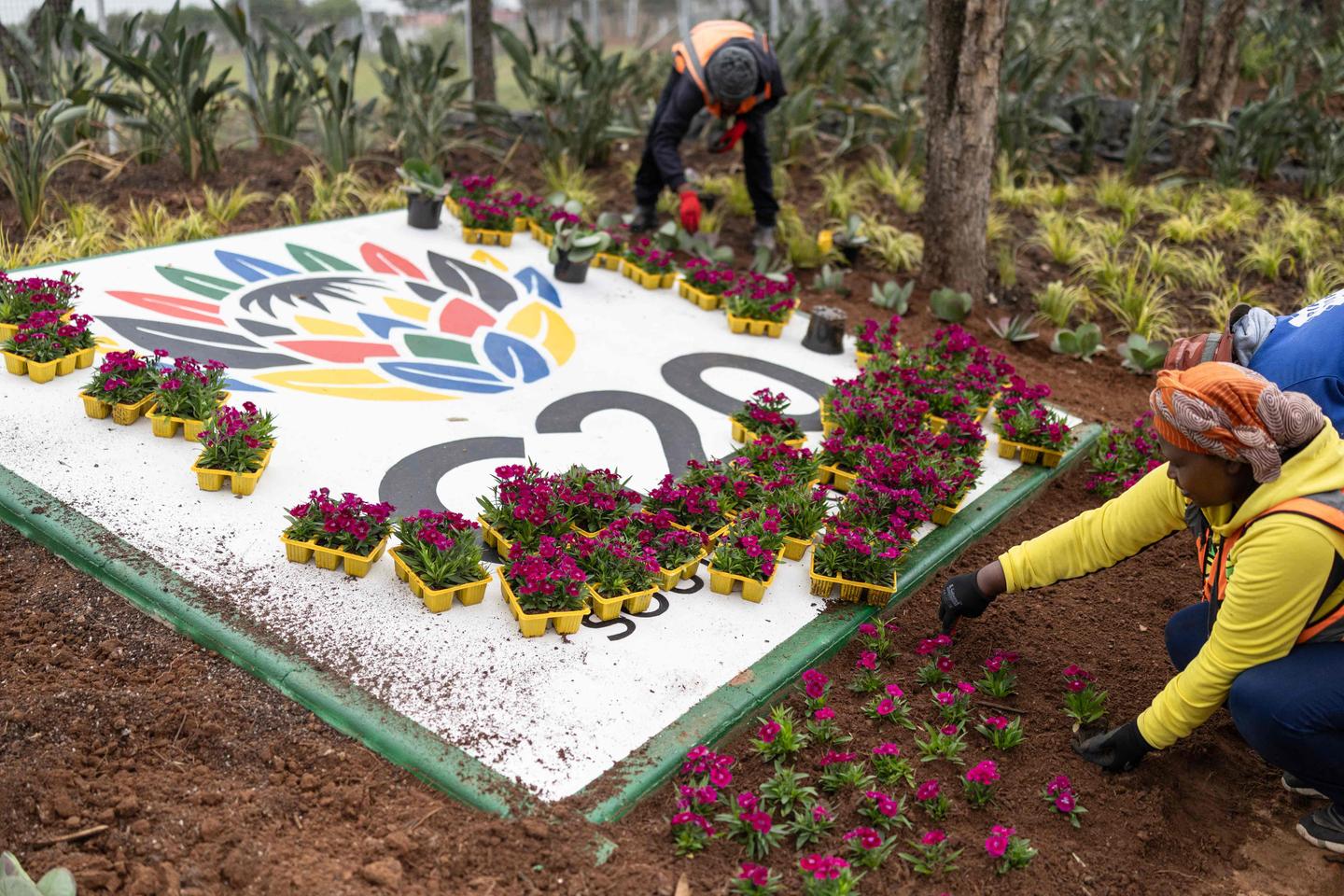 Donald Trump refuse d’envoyer un représentant américain au sommet du G20 en Afrique du Sud, évoquant des persécutions contre les fermiers blancs Donald Trump refuse d’envoyer un représentant américain au sommet du G20 en Afrique du Sud, évoquant des persécutions contre les fermiers blancs