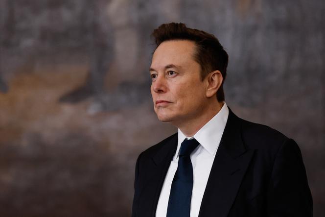 Elon Musk, dirigeant de Tesla, en janvier 2025.