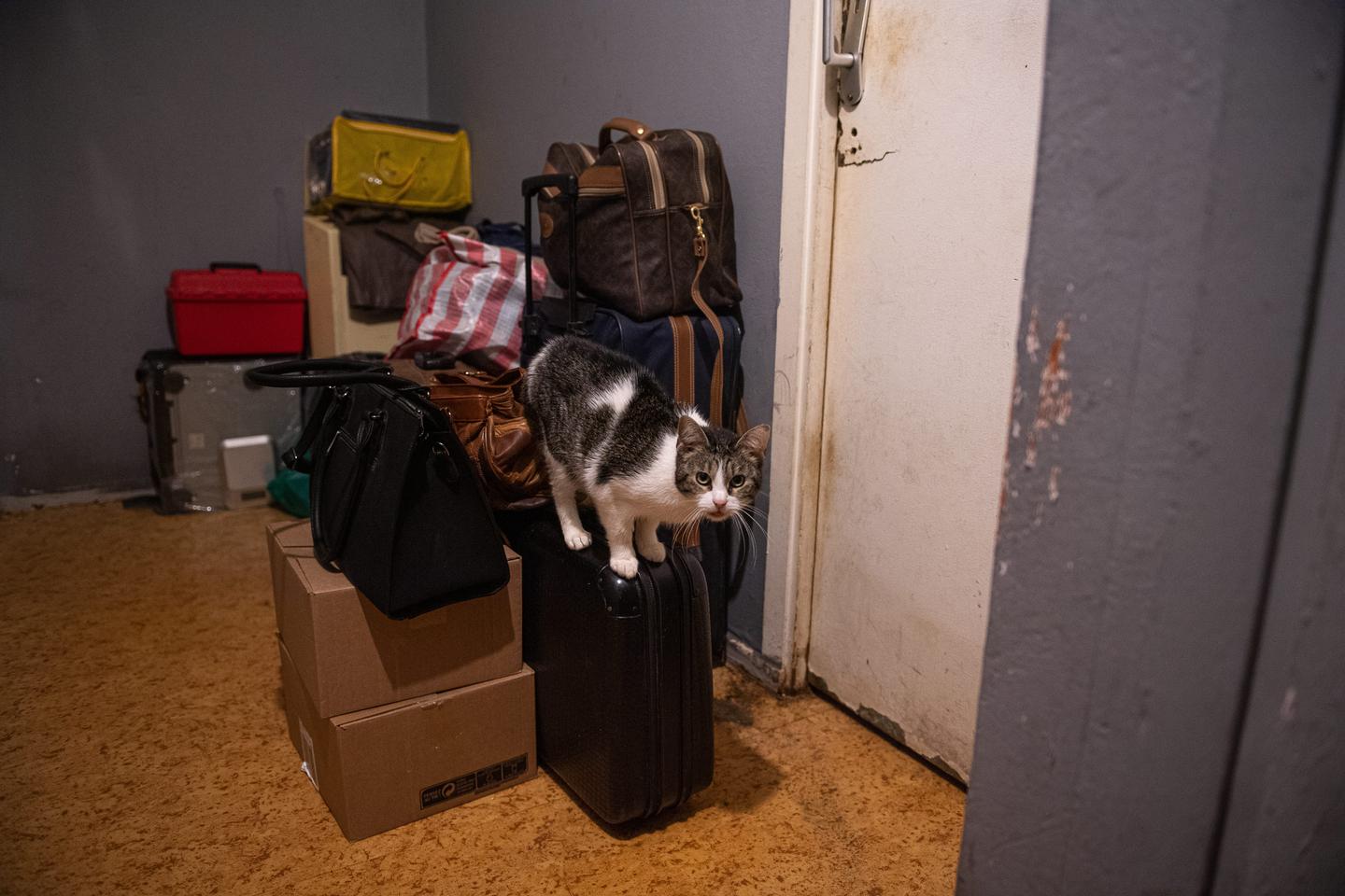 Comment expliquer que le nombre d’expulsions forcées de locataires a doublé en France depuis 2019 ?