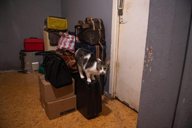 Expulsion locative de deux personnes de 75 ans, à Lambersart (Nord), le 16 février 2021.