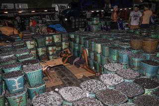 Des paniers d’açaï au dock de Belem (Brésil), près du marché de Ver-o-Peso, livrés par les communautés des îles environnantes, le 25 octobre 2025.