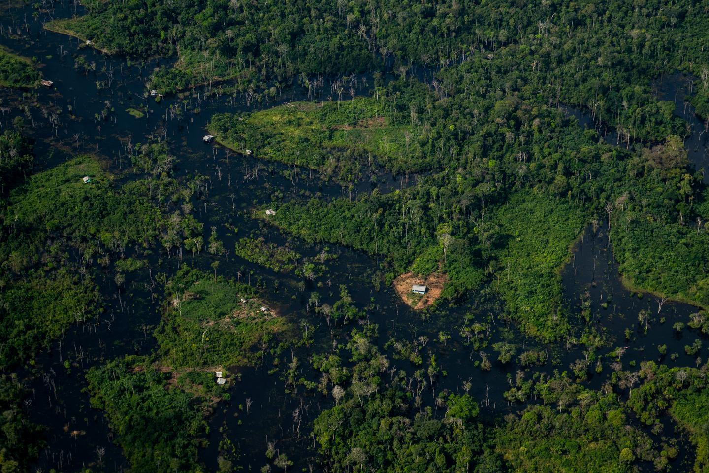Au BrÃ©sil, Lula lance un fonds innovant pour rÃ©munÃ©rer la prÃ©servation des forÃªts...