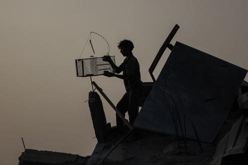 Установка ловушки для птиц на развалинах здания в Джабалии, на севере сектора Газа, 7 ноября 2025 года.