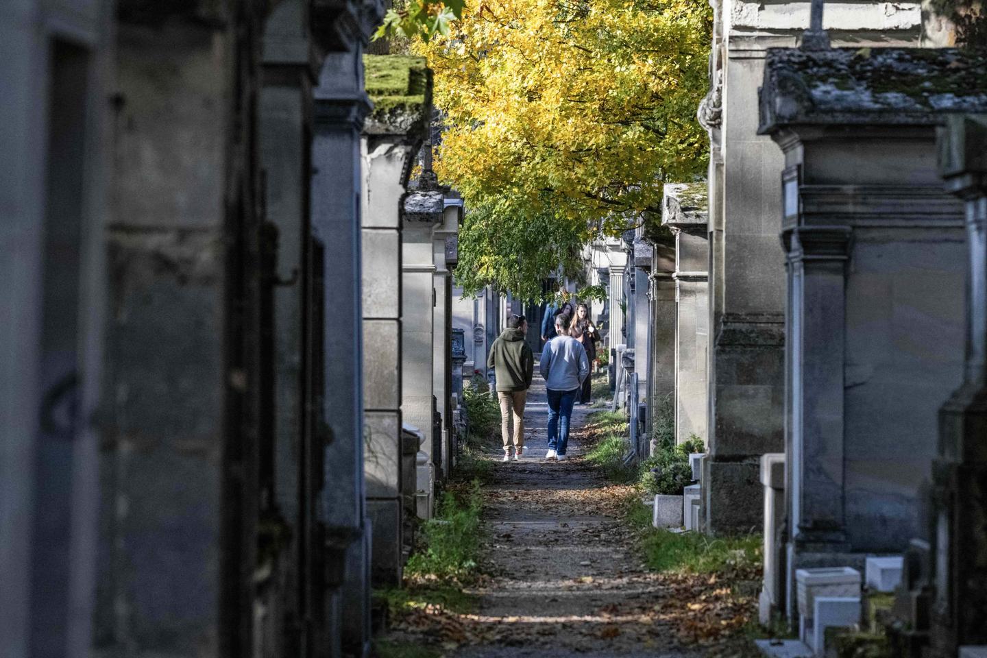 Une place au cimetiÃ¨re prÃ¨s dâ€™Alexandre Dumas ou de Michel DelpechÂ ? La Ville de...