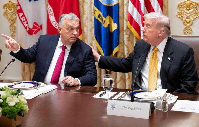 Le président américain, Donald Trump (à droite), et le premier ministre hongrois, Viktor Orban, à la Maison Blanche, à Washington, le 7 novembre 2025.