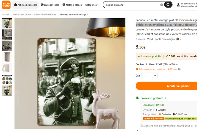 De multiples objets utilisant des designs d’inspiration nazie – pour certains générés par IA – étaient disponibles sur Temu. 