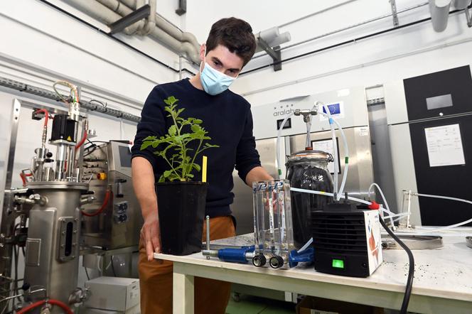     At the National School of Agronomy and Food Industry in Nancy, in 2021.