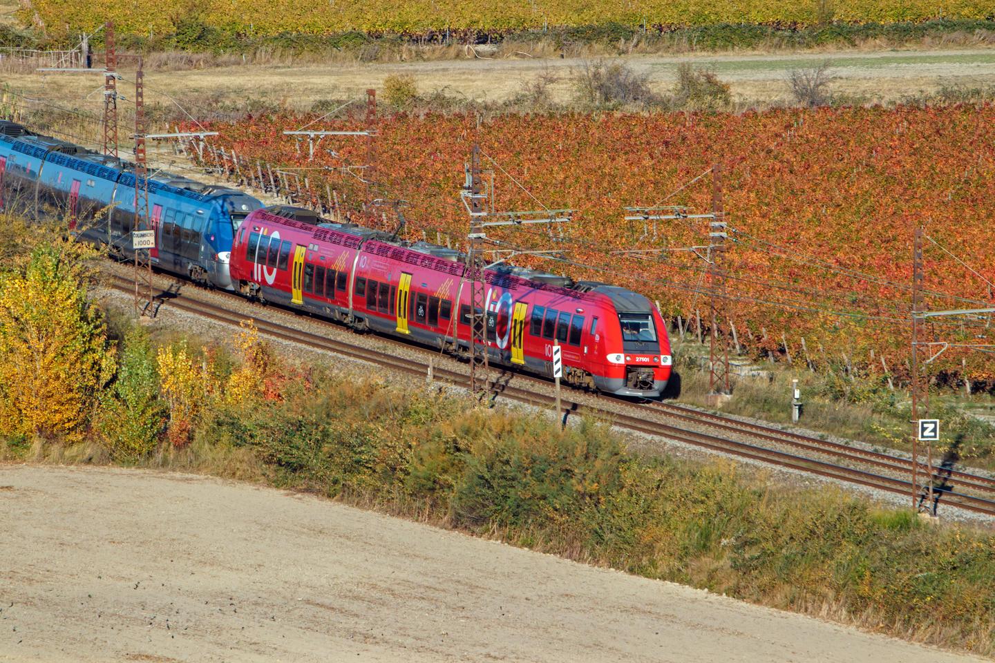 Des trains à 1 euro pour les déplacements des sportifs amateurs d’Occitanie Des trains à 1 euro pour les déplacements des sportifs amateurs d’Occitanie