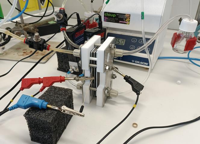 Des cellules électrochimiques utilisées pour transformer le CO₂ et le CO.