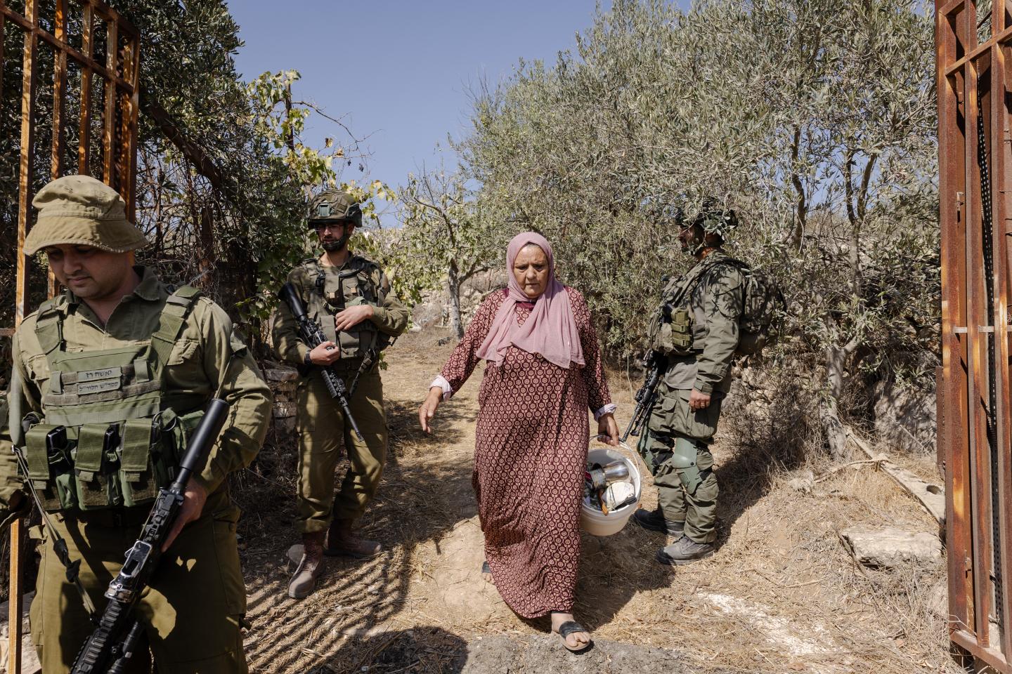 In the West Bank's olive groves, a harvest of terror
