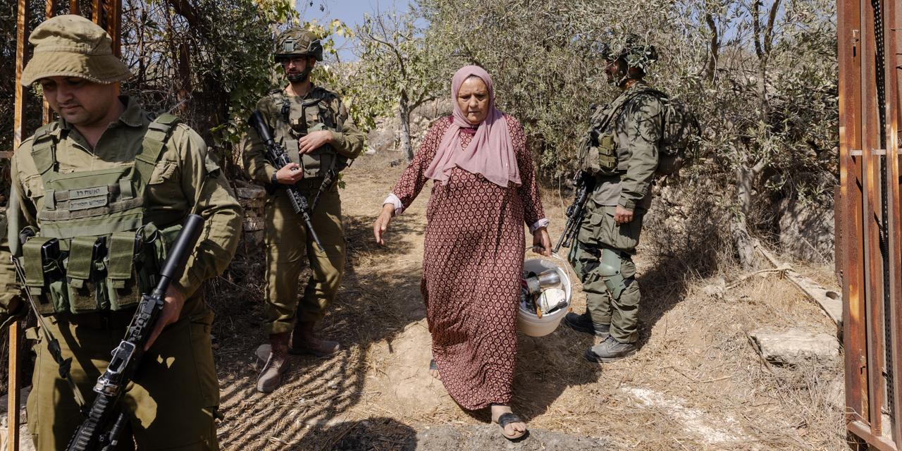 Cisjordanie occupée, le 17 octobre 2025.  A coté des colonies de Elazar, Neve Daniel et Netiv Haavot. Des militants de l'association 