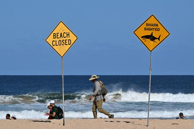 La plage de Long Reef Beach fermée après une attaque de requin au nord de Sydney, en Australie, le 6 septembre 2025.