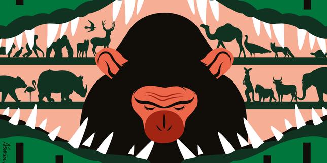 Vantara, l’immense zoo privé d’un milliardaire indien qui aspire des animaux du monde entier par milliers