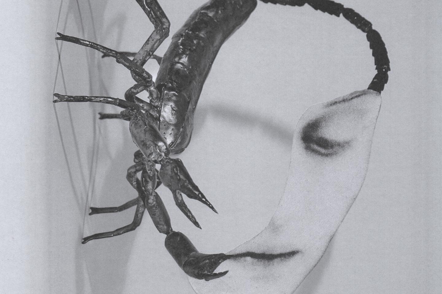 SÃ©lection albumsÂ : Amanda Favier &Â Elodie SoulardÂ ; MozartÂ ; Michel Cloup Trio,...