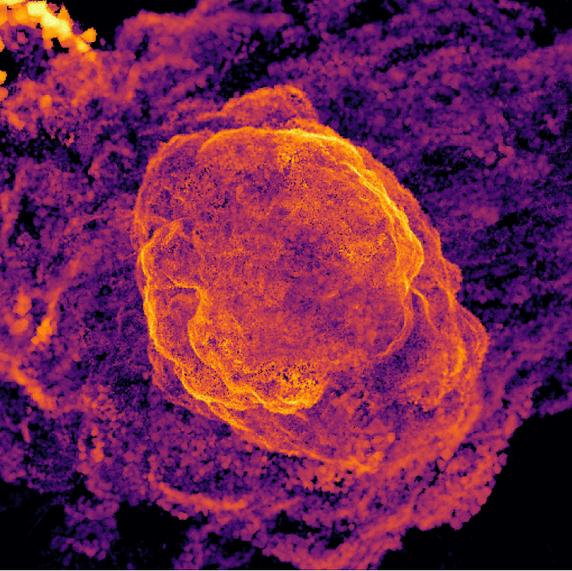 Une fusion d’amas de galaxies, produisant d’immenses quantités d’énergie thermique.