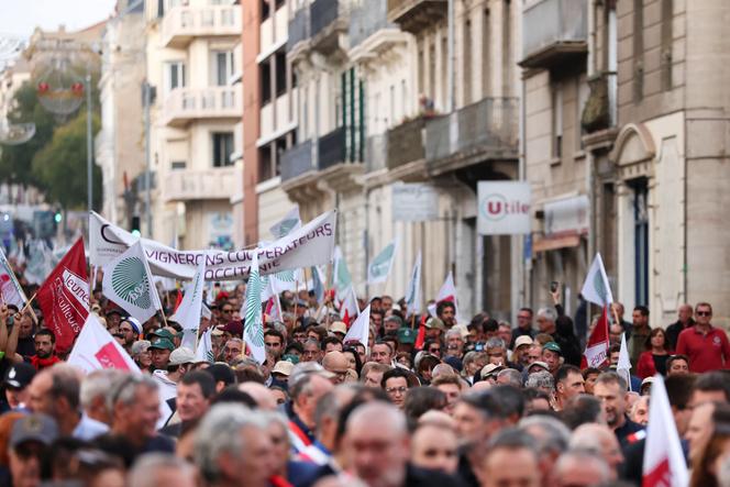 Grape growers from Occitanie demonstrate against the crisis facing the sector, in Béziers (Hérault), on November 15, 2025.