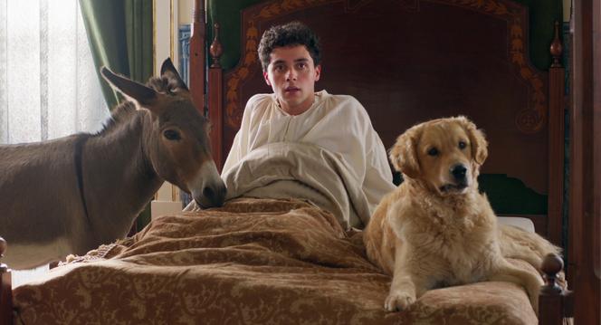 Rui Pedro Silva (Gaspar) dans « L’arbre de la connaissance », d’Eugène Green.