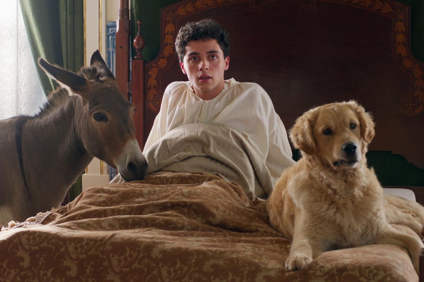 Â«Â Lâ€™Arbre de la connaissanceÂ Â»Â : Ã  Lisbonne, un ogre sÃ©questre des...