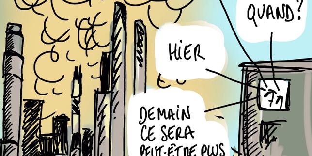 Budget : Sébastien Lecornu défend la niche Dutreil malgré les critiques de la Cour des comptes