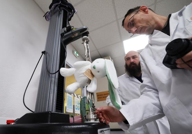 Un technicien de la DGCCRF étire une peluche pour observer la résistance de ses coutures dans un laboratoire de Villeneuve-d’Ascq (Nord), le 13&nbsp;décembre 2024.