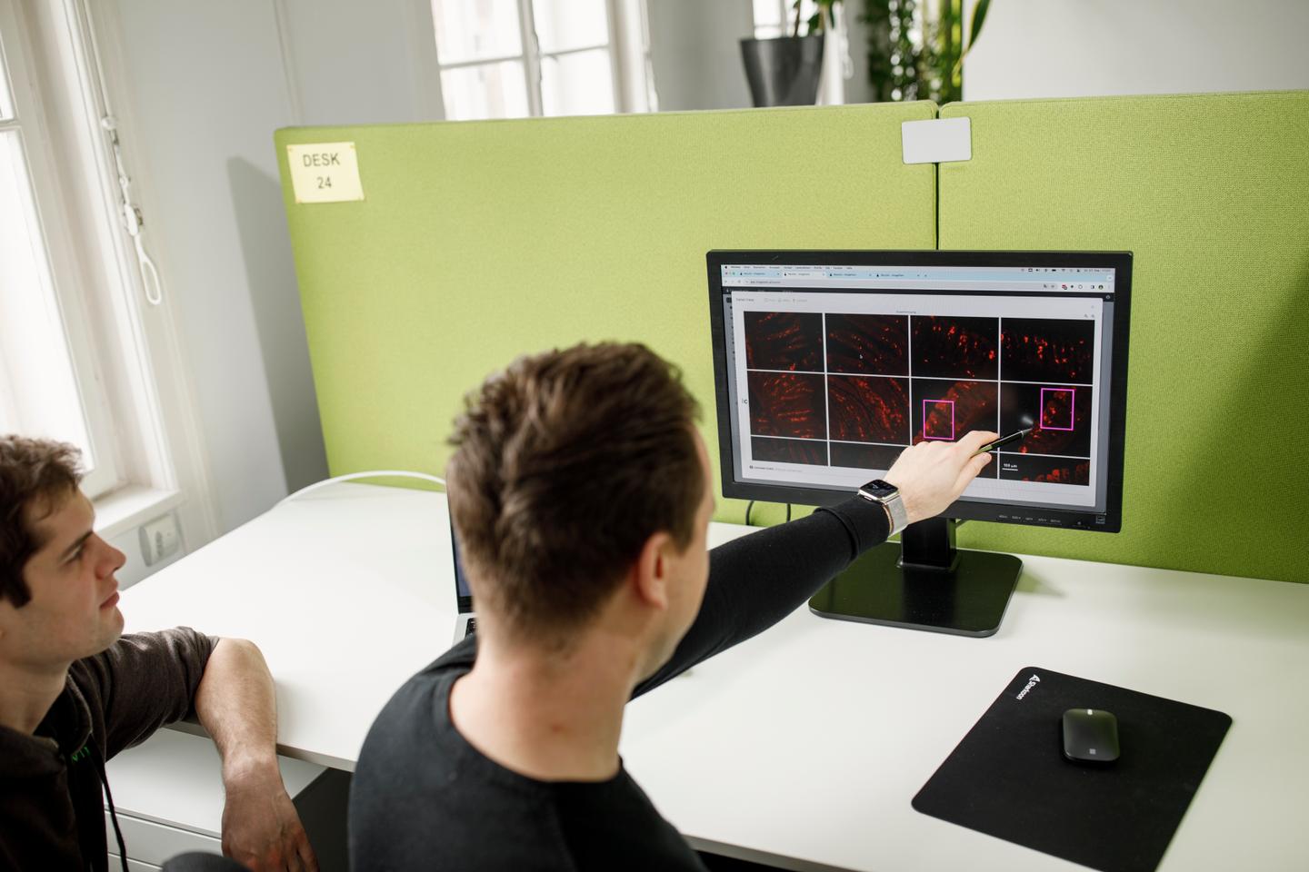 Bidouillages en série d’images dans des articles de neurosciences