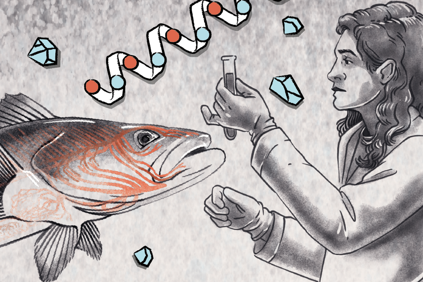 Un antigel inspiré par les poissons polaires Un antigel inspiré par les poissons polaires