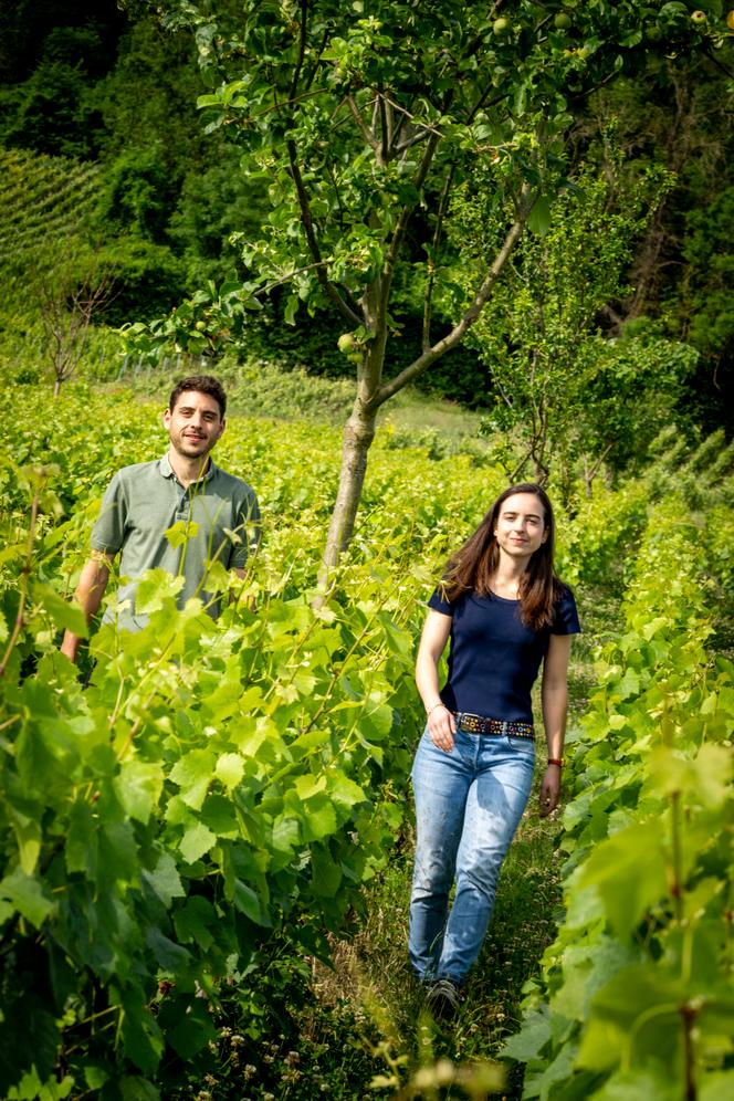 Edgar et Louise Coulon, sur la parcelle « Les Montceau », à Vrigny (Marne), en juin 2025.