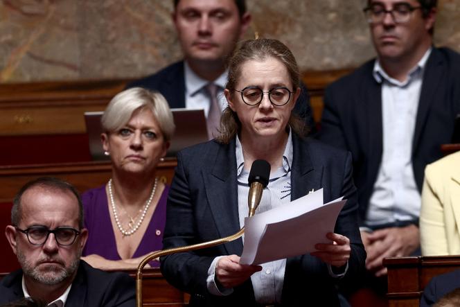 La députée socialiste de Seine-et-Marne Céline Thiébault-Martinez, à l’Assemblée nationale, à Paris, le 28&nbsp;mai&nbsp;2025.