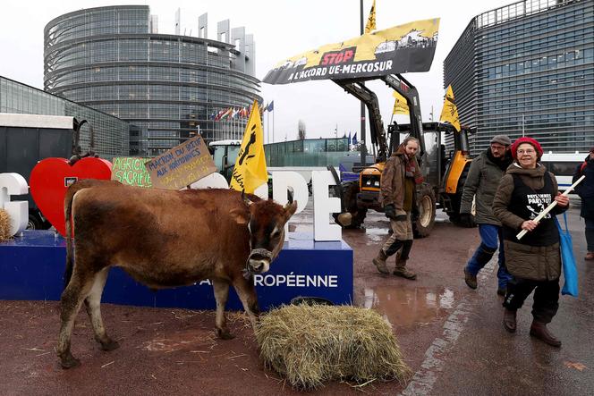 Des agriculteurs français manifestent contre l’accord de libre-échange entre l’Union européenne et les pays d’Amérique latine du Mercosur, devant le Parlement européen à Strasbourg, le 24 novembre 2025. 