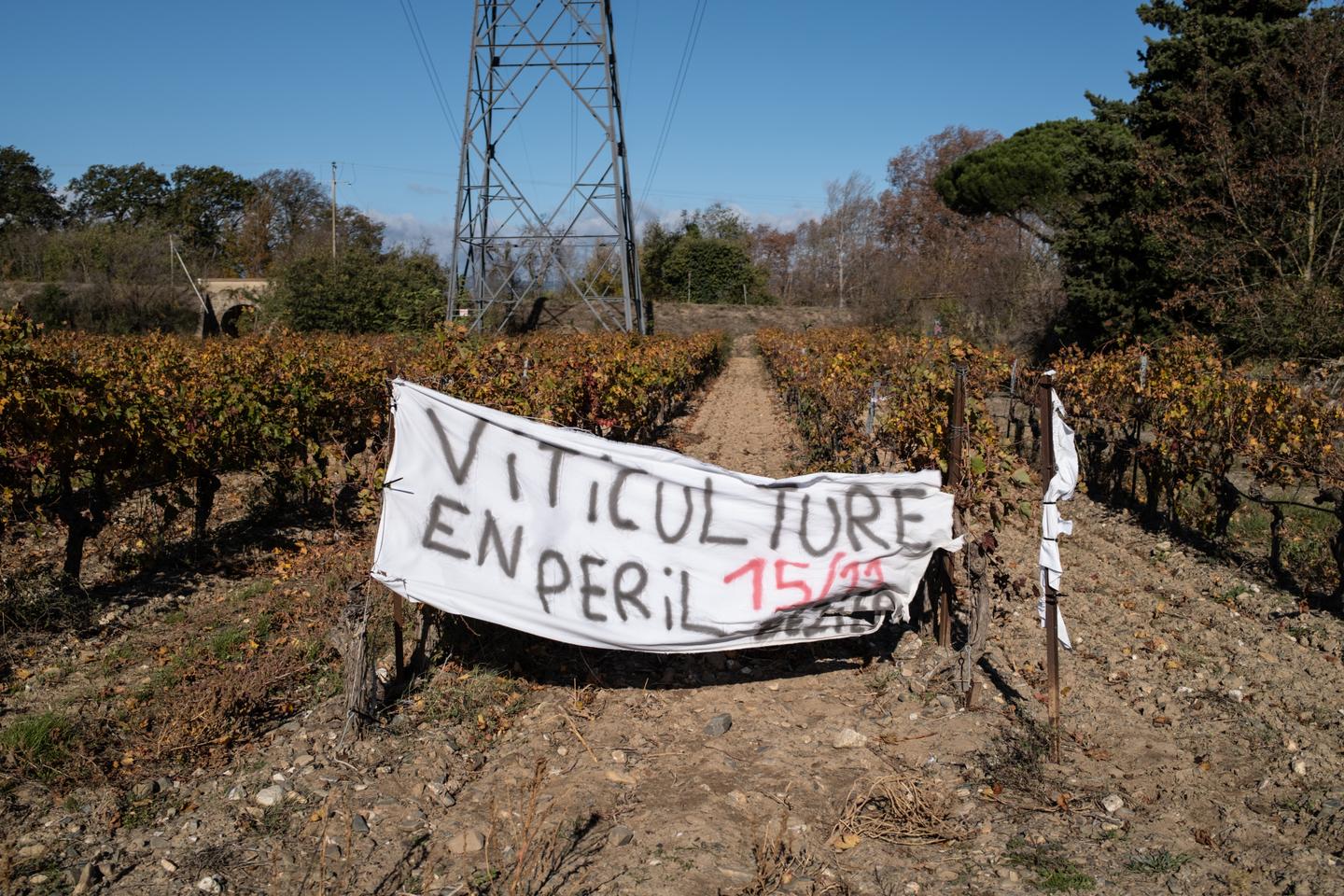 Crise du vin : « Il nous reste environ 1 centime d’euro de bénéfice net sur une bouteille vendue 3,45 euros »