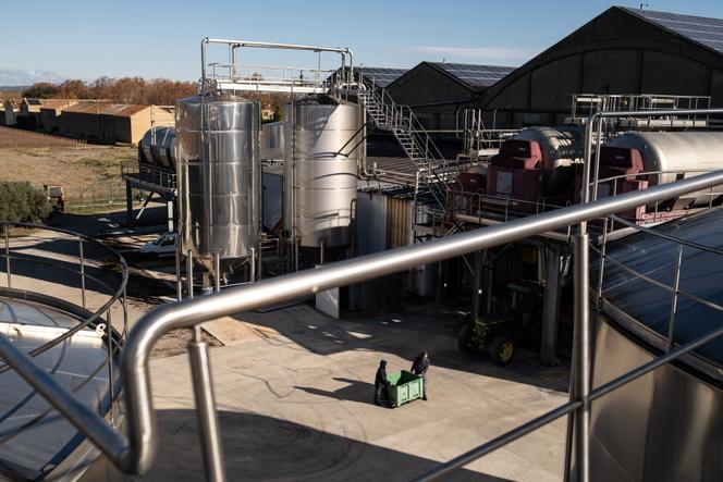 In the cellars of the La Vigneronne cooperative, in Canet-d'Aude (Aude), 21 November 2025.