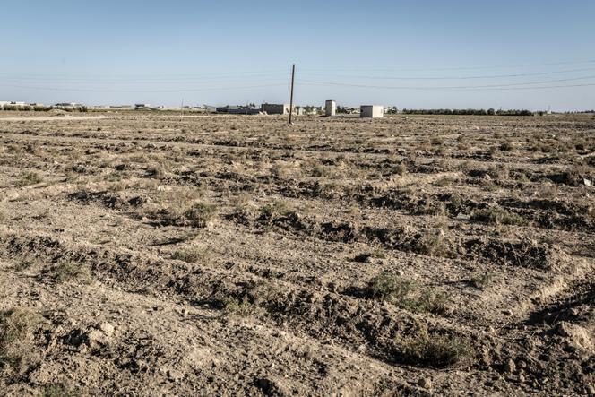 Champs dont la terre a été retournée pour permettre des cultures à Harran Al-Awamid, dans la Ghouta orientale, en Syrie. Le 31 octobre 2025.